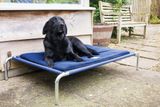Vyvýšená posteľ pre psov L 110 x 75 cm tmavomodrá