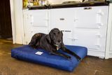 Nepremokavý ortopedický matrac pre psov L 110 x 75 cm tmavomodrý