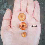 Collory Silikónová forma na pamlsky Mini Donut - oranžová