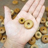 Collory Silikónová forma na pamlsky Medium Donut - bordová