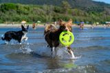 KIWI WALKER® Let&#039;s play! FRISBEE lietajúce a plávajúce frisbee z TPR peny zelená