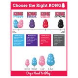 KONG® Puppy Granát modrý/ružový, prírodná guma, L 13-30 kg