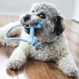 KONG® Puppy Goodie Bone kosť s lanom XS modrá