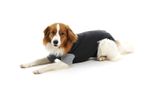 Buster Oblek ochranný Body Dog 63 cm XL