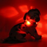 LEUCHTIE Mini LED svietiaci obojok červený 32,5 cm