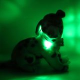 LEUCHTIE Mini LED svietiaci obojok transparentný zelený (extra svietivosť) 30 cm