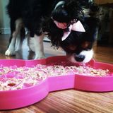 SloDog® protihltacia miska pre psa 35 x 26 cm ružová