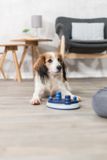 Trixie Dog Activity Push Away - disk s kuželkami 25 x 7 x 17 cm 