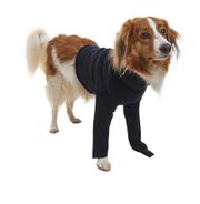 Buster Oblek ochranný Body Dog predné nohy S 42 cm