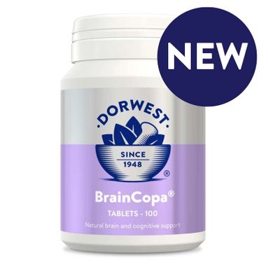 Dorwest BrainCopa 100 tbl