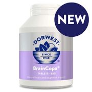 Dorwest BrainCopa 500 tbl