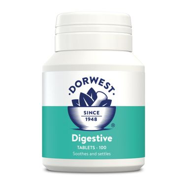 Dorwest Tablety na trávenie 100 tbl - Digestive