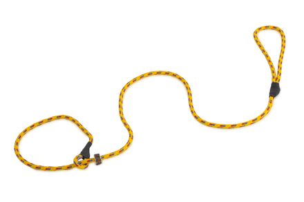 Firedog Moxon vodítko Classic 6 mm 130 cm žlté+červené/modré