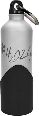 Fľaša na vodu H2O2GO - 750 ml - strieborná