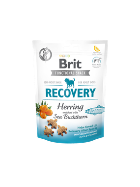 Pamlsky Brit Care Dog Functional Snack Recovery pstruh 150 g